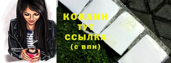соль ск Медвежьегорск