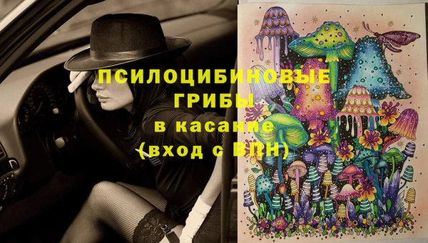 PSILOCYBIN Тында