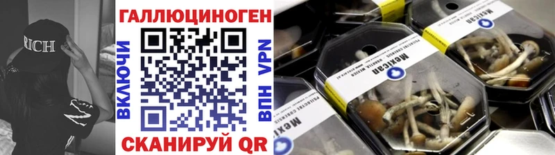 где можно купить наркотик  Семёнов  Галлюциногенные грибы GOLDEN TEACHER 